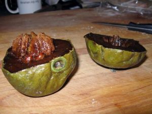 sapote-noire1